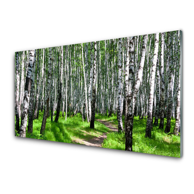 Acrylglasbilder Bäume Gras Natur
