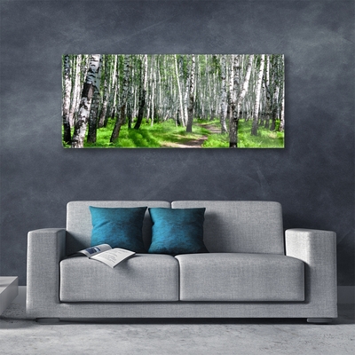 Acrylglasbilder Bäume Gras Natur
