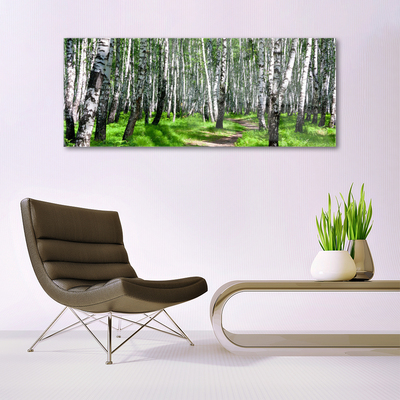 Acrylglasbilder Bäume Gras Natur