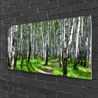 Acrylglasbilder Bäume Gras Natur