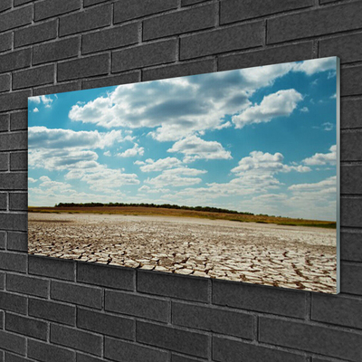 Acrylglasbilder Wüste Landschaft