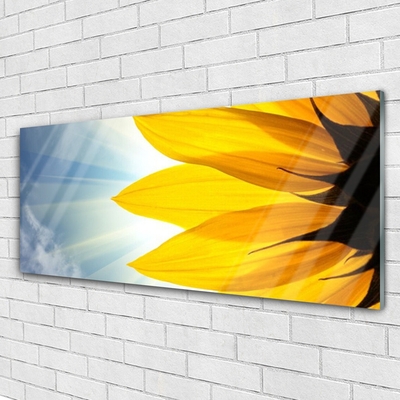 Acrylglasbilder Blütenblätter Pflanzen