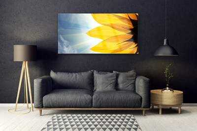 Acrylglasbilder Blütenblätter Pflanzen