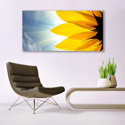 Acrylglasbilder Blütenblätter Pflanzen