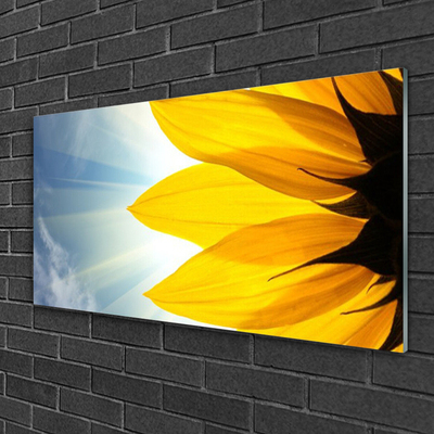 Acrylglasbilder Blütenblätter Pflanzen