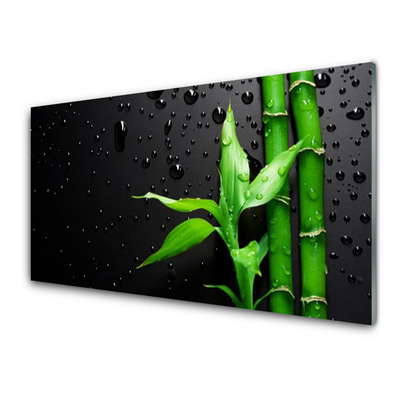 Acrylglasbilder Bambus Blätter Pflanzen