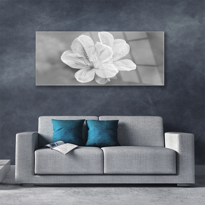 Acrylglasbilder Blumen Pflanzen