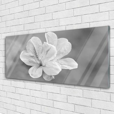 Acrylglasbilder Blumen Pflanzen
