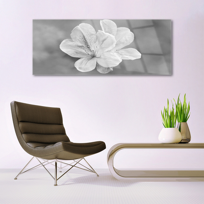Acrylglasbilder Blumen Pflanzen