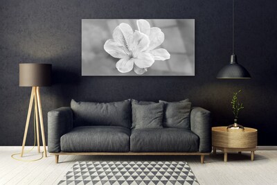Acrylglasbilder Blumen Pflanzen