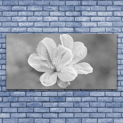 Acrylglasbilder Blumen Pflanzen