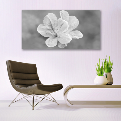 Acrylglasbilder Blumen Pflanzen