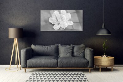 Acrylglasbilder Blumen Pflanzen