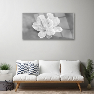 Acrylglasbilder Blumen Pflanzen