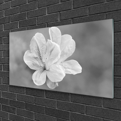 Acrylglasbilder Blumen Pflanzen