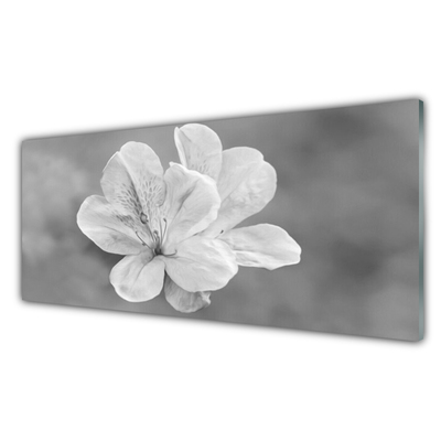 Acrylglasbilder Blumen Pflanzen