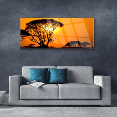 Acrylglasbilder Bäume Sonne Natur