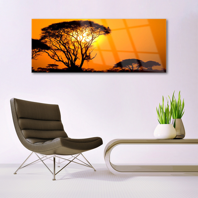 Acrylglasbilder Bäume Sonne Natur