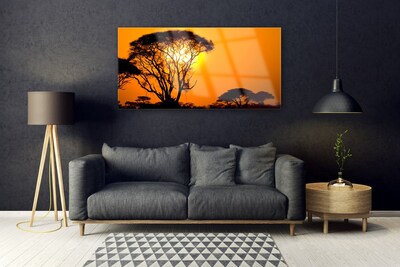 Acrylglasbilder Bäume Sonne Natur