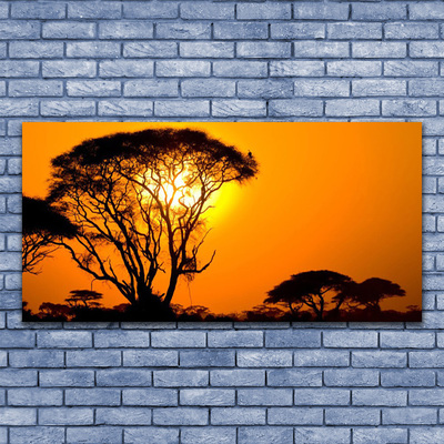 Acrylglasbilder Bäume Sonne Natur