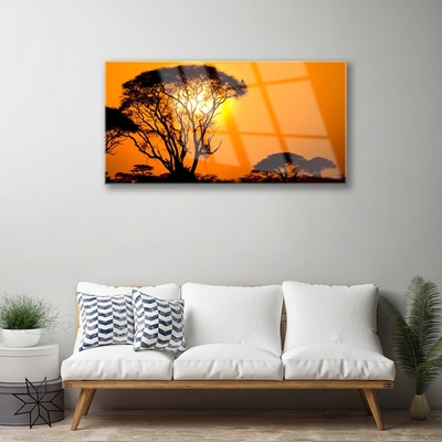 Acrylglasbilder Bäume Sonne Natur