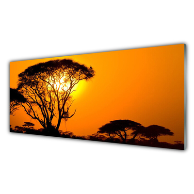 Acrylglasbilder Bäume Sonne Natur
