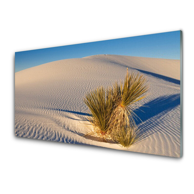 Acrylglasbilder Wüste Landschaft