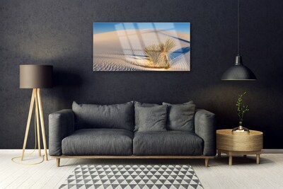 Acrylglasbilder Wüste Landschaft