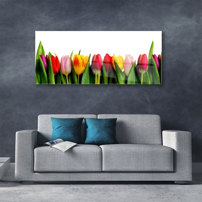 Acrylglasbilder Tulpen Pflanzen