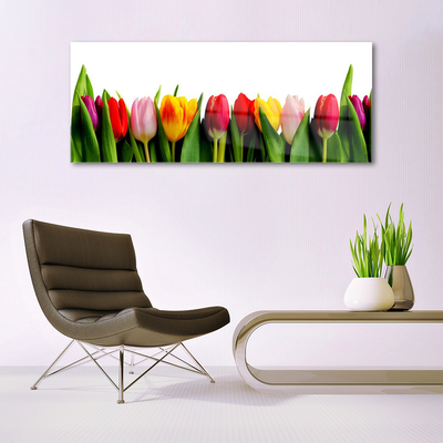 Acrylglasbilder Tulpen Pflanzen