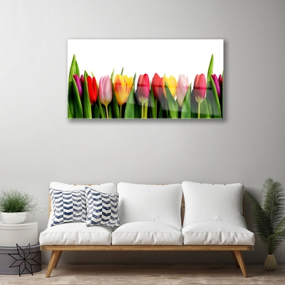 Acrylglasbilder Tulpen Pflanzen