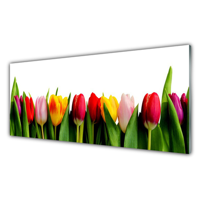 Acrylglasbilder Tulpen Pflanzen