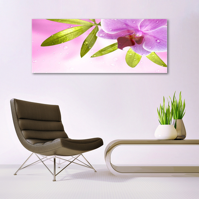 Acrylglasbilder Blume Blätter Pflanzen
