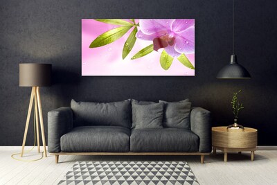 Acrylglasbilder Blume Blätter Pflanzen