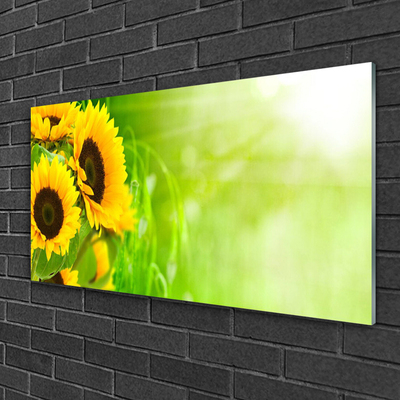 Acrylglasbilder Sonnenblumen Pflanzen