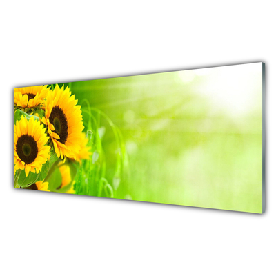 Acrylglasbilder Sonnenblumen Pflanzen