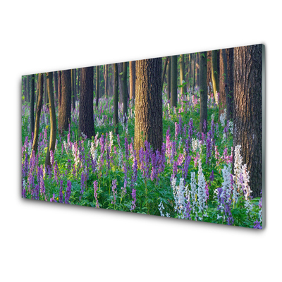 Acrylglasbilder Wald Blumen Natur