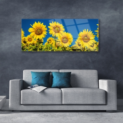 Acrylglasbilder Sonnenblumen Pflanzen