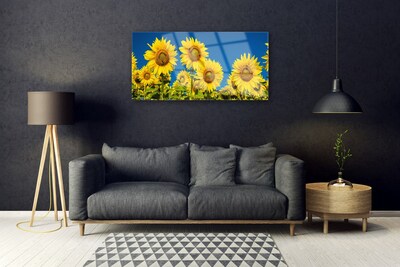 Acrylglasbilder Sonnenblumen Pflanzen