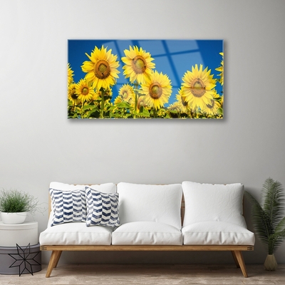 Acrylglasbilder Sonnenblumen Pflanzen