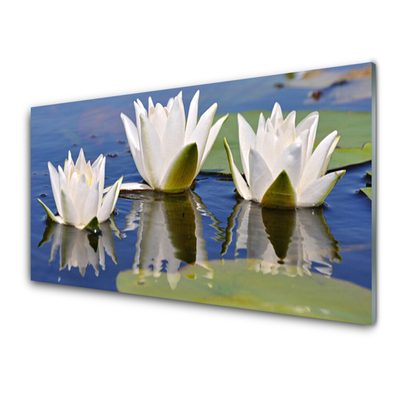 Acrylglasbilder Blumen Pflanzen