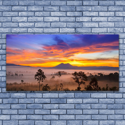 Acrylglasbilder Bäume Nebel Landschaft