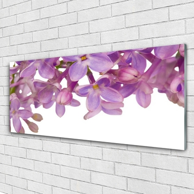 Acrylglasbilder Blumen Pflanzen