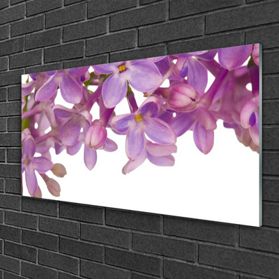 Acrylglasbilder Blumen Pflanzen