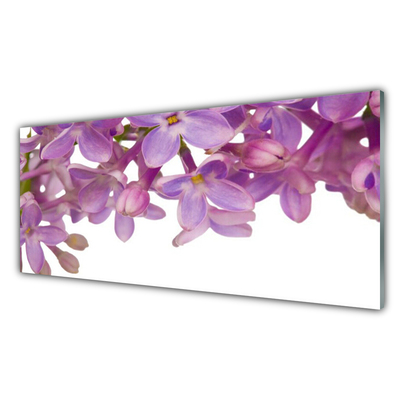 Acrylglasbilder Blumen Pflanzen