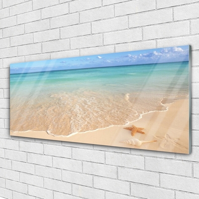 Acrylglasbilder Meer Strand Seestern Landschaft