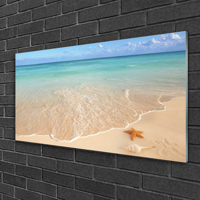 Acrylglasbilder Meer Strand Seestern Landschaft