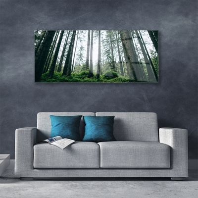 Acrylglasbilder Wald Natur