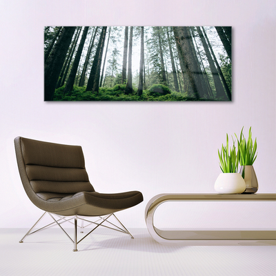 Acrylglasbilder Wald Natur