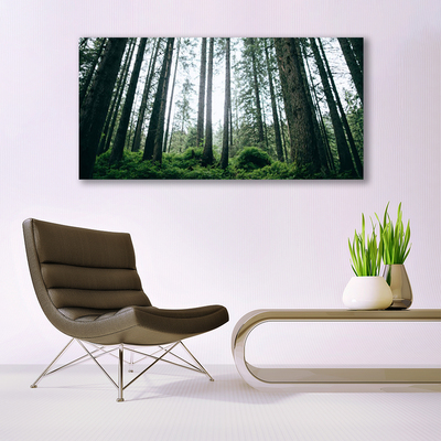 Acrylglasbilder Wald Natur